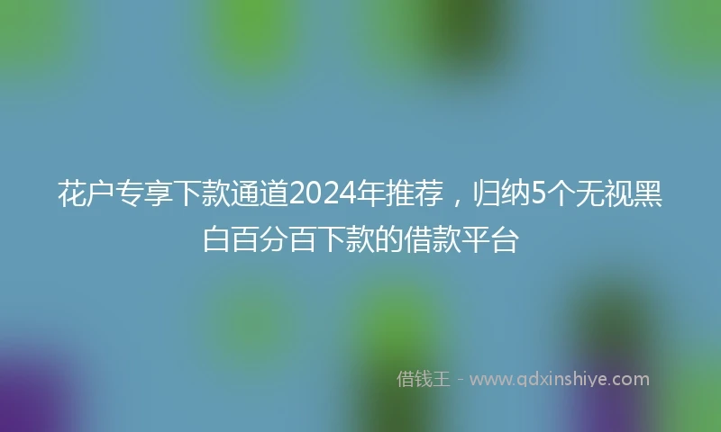 花户专享下款通道2024年推荐，归纳5个无视黑白百分百下款的借款平台