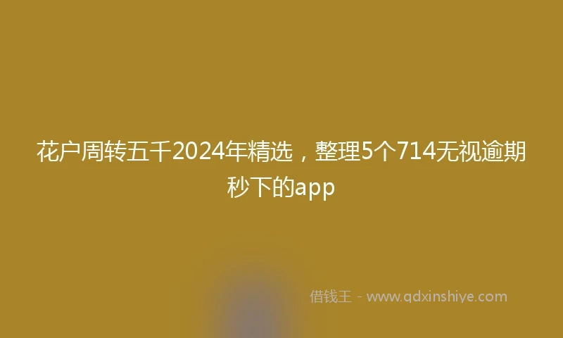 花户周转五千2024年精选，整理5个714无视逾期秒下的app