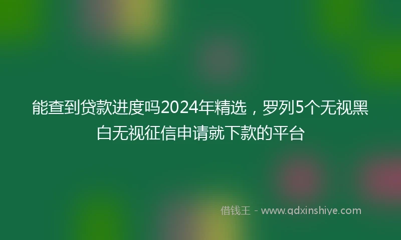 能查到贷款进度吗2024年精选，罗列5个无视黑白无视征信申请就下款的平台