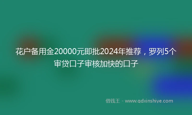花户备用金20000元即批2024年推荐，罗列5个审贷口子审核加快的口子