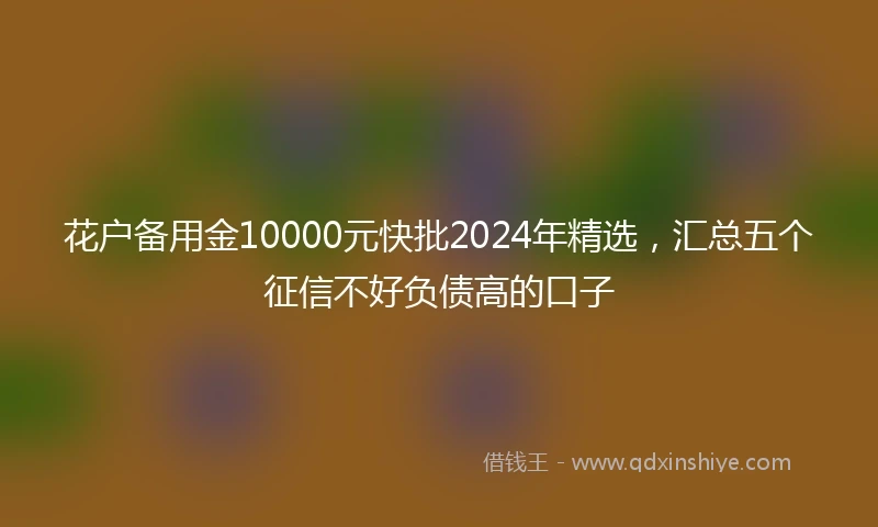 花户备用金10000元快批2024年精选，汇总五个征信不好负债高的口子