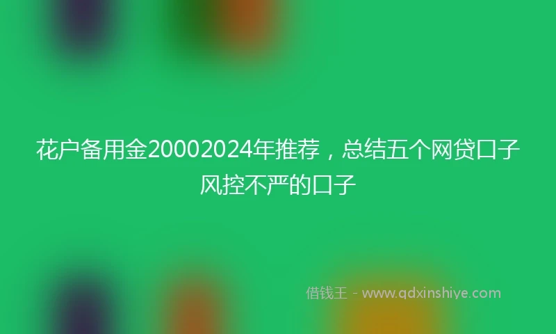 花户备用金20002024年推荐，总结五个网贷口子风控不严的口子