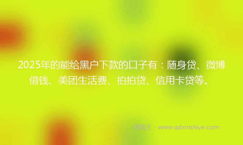 2025年的能给黑户下款的口子有：随身贷、微博借钱、美团生活费、拍拍贷、信用卡贷等。