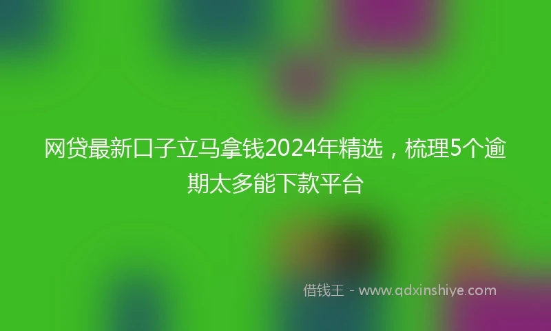 网贷最新口子立马拿钱2024年精选，梳理5个逾期太多能下款平台