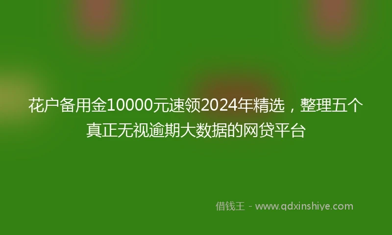花户备用金10000元速领2024年精选，整理五个真正无视逾期大数据的网贷平台