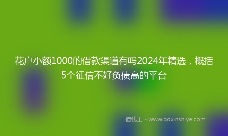 花户小额1000的借款渠道有吗2024年精选，概括5个征信不好负债高的平台