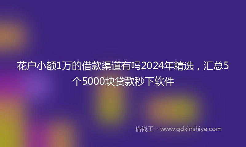 花户小额1万的借款渠道有吗2024年精选，汇总5个5000块贷款秒下软件
