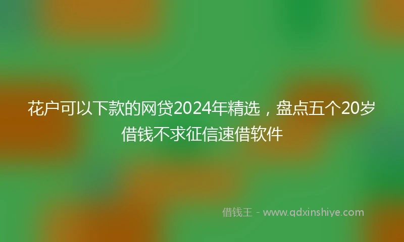 花户可以下款的网贷2024年精选，盘点五个20岁借钱不求征信速借软件