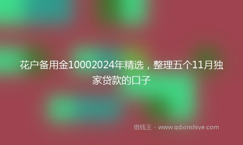 花户备用金10002024年精选，整理五个11月独家贷款的口子