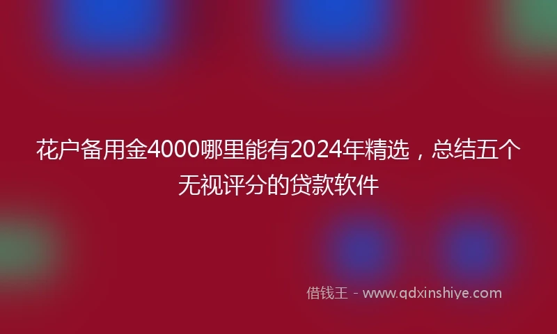 花户备用金4000哪里能有2024年精选，总结五个无视评分的贷款软件