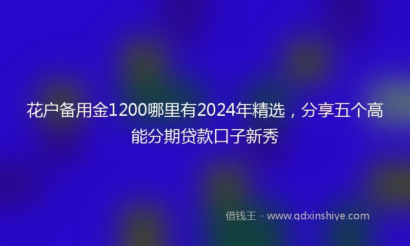 花户备用金1200哪里有2024年精选，分享五个高能分期贷款口子新秀
