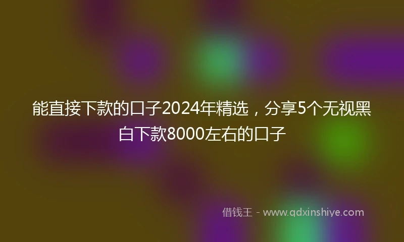 能直接下款的口子2024年精选，分享5个无视黑白下款8000左右的口子