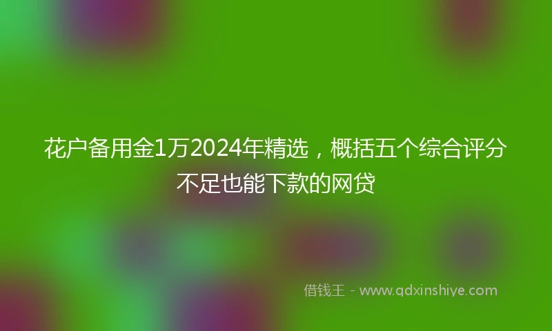花户备用金1万2024年精选，概括五个综合评分不足也能下款的网贷