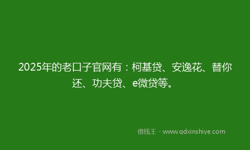 2025年的老口子官网有：柯基贷、安逸花、替你还、功夫贷、e微贷等。