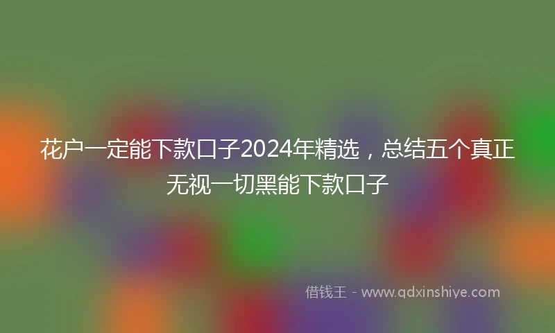 花户一定能下款口子2024年精选，总结五个真正无视一切黑能下款口子