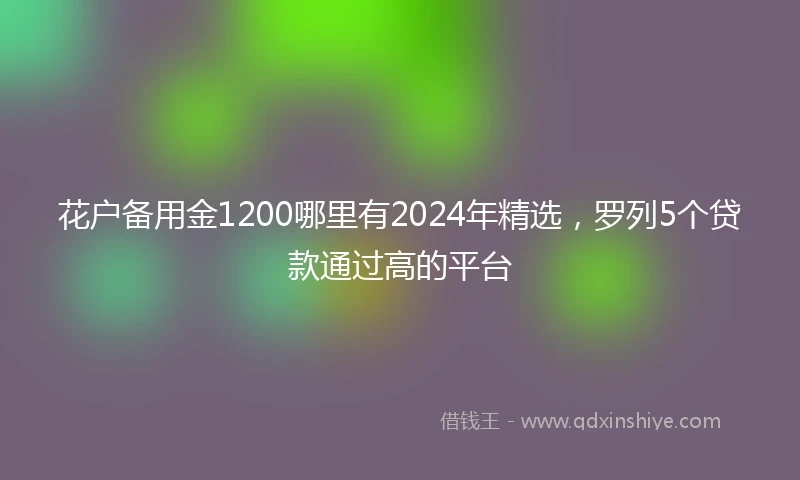 花户备用金1200哪里有2024年精选，罗列5个贷款通过高的平台