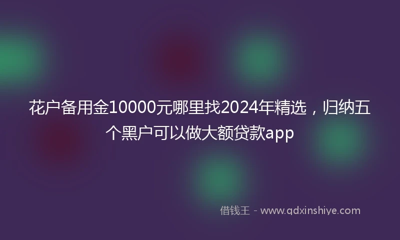 花户备用金10000元哪里找2024年精选，归纳五个黑户可以做大额贷款app