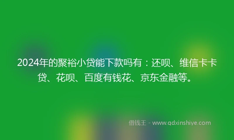2024年的聚裕小贷能下款吗有：还呗、维信卡卡贷、花呗、百度有钱花、京东金融等。