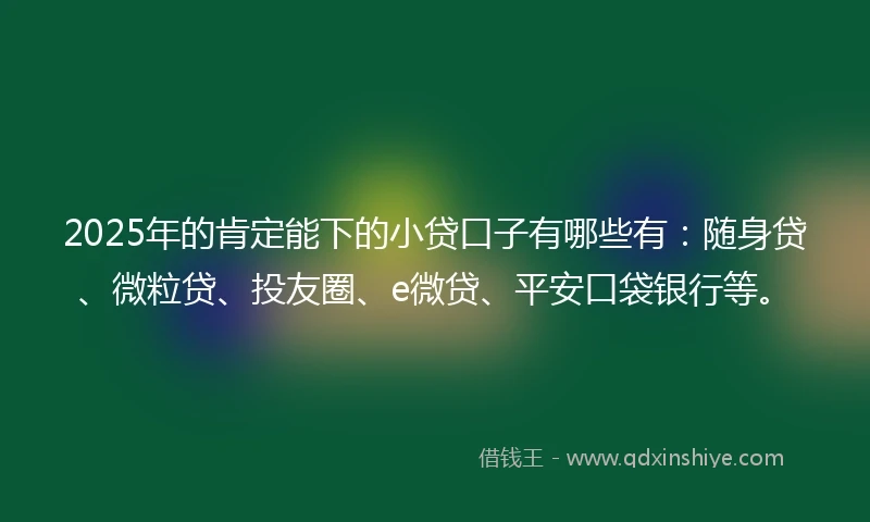 2025年的肯定能下的小贷口子有哪些有：随身贷、微粒贷、投友圈、e微贷、平安口袋银行等。