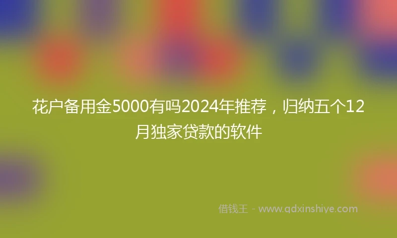 花户备用金5000有吗2024年推荐，归纳五个12月独家贷款的软件