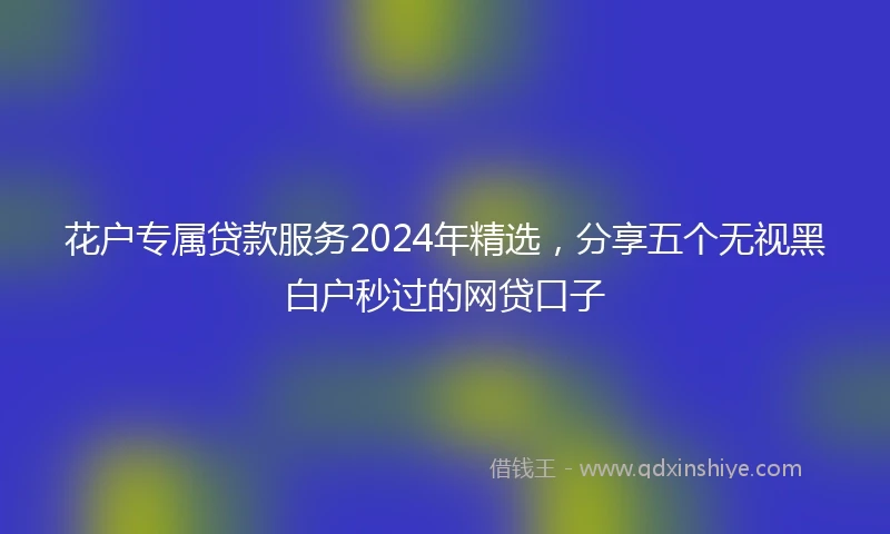 花户专属贷款服务2024年精选，分享五个无视黑白户秒过的网贷口子