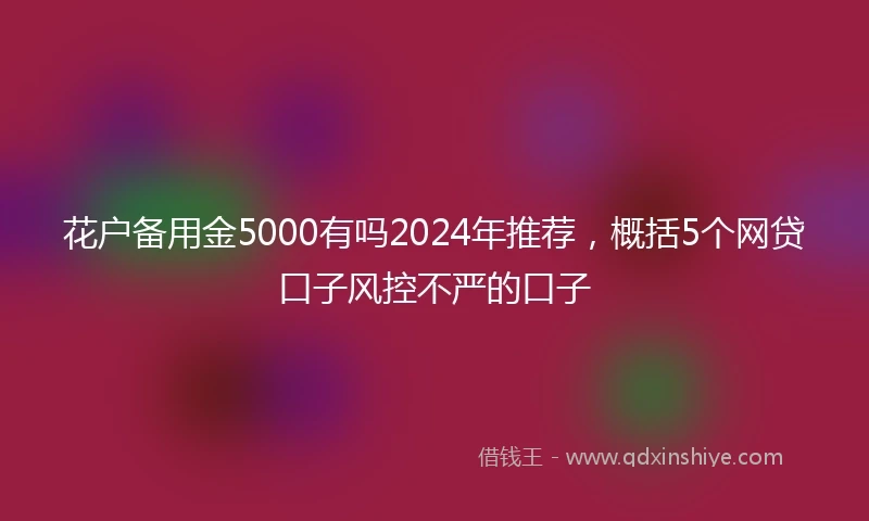 花户备用金5000有吗2024年推荐，概括5个网贷口子风控不严的口子