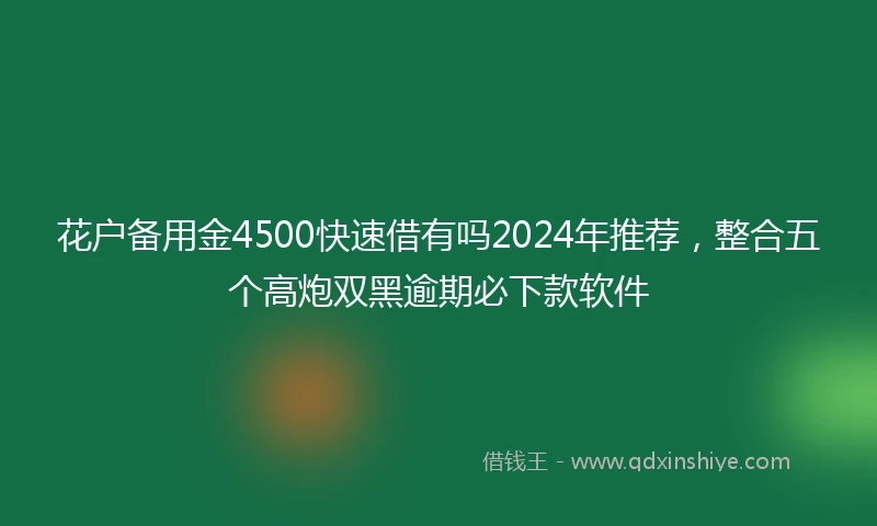 花户备用金4500快速借有吗2024年推荐，整合五个高炮双黑逾期必下款软件