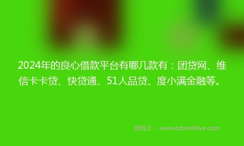 2024年的良心借款平台有哪几款有：团贷网、维信卡卡贷、快贷通、51人品贷、度小满金融等。