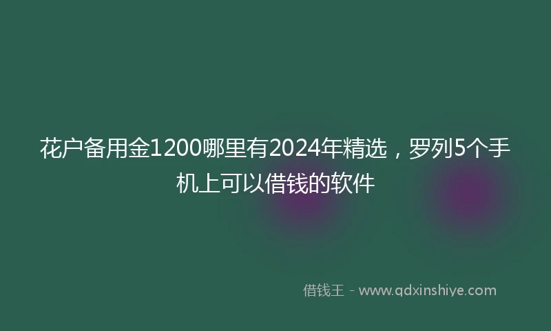 花户备用金1200哪里有2024年精选，罗列5个手机上可以借钱的软件