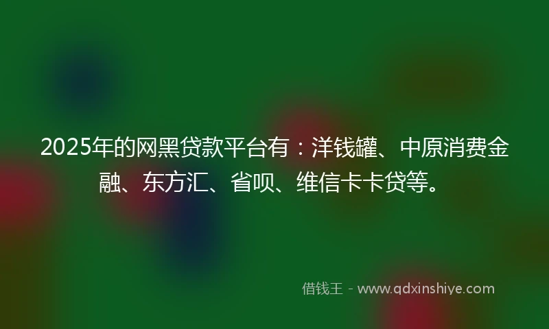2025年的网黑贷款平台有：洋钱罐、中原消费金融、东方汇、省呗、维信卡卡贷等。