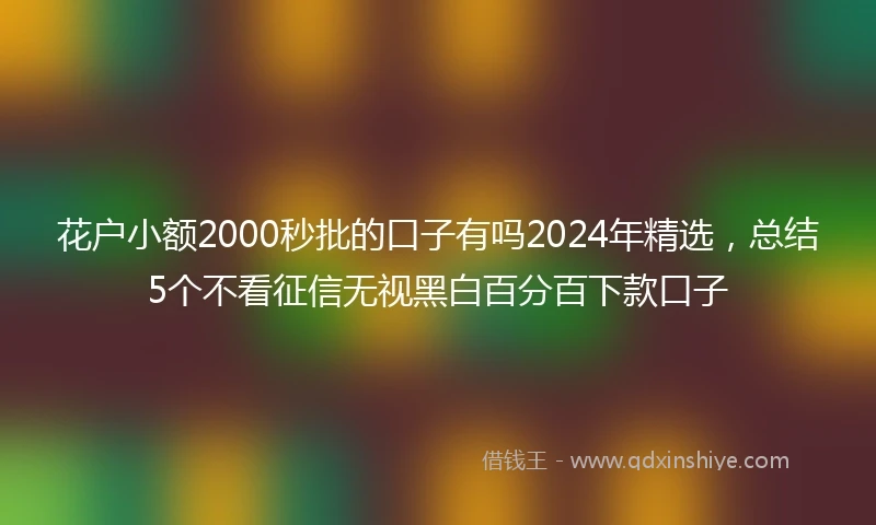 花户小额2000秒批的口子有吗2024年精选,总结5个不看征信无视黑白百分百下款口子
