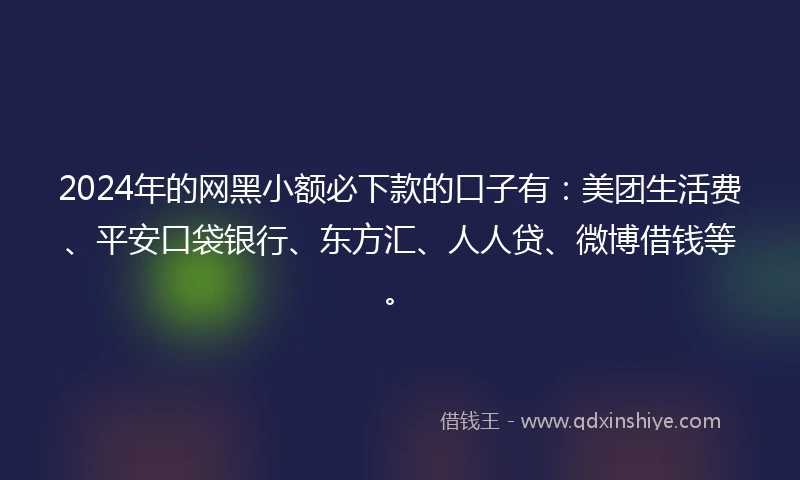 2024年的网黑小额必下款的口子有：美团生活费、平安口袋银行、东方汇、人人贷、微博借钱等。