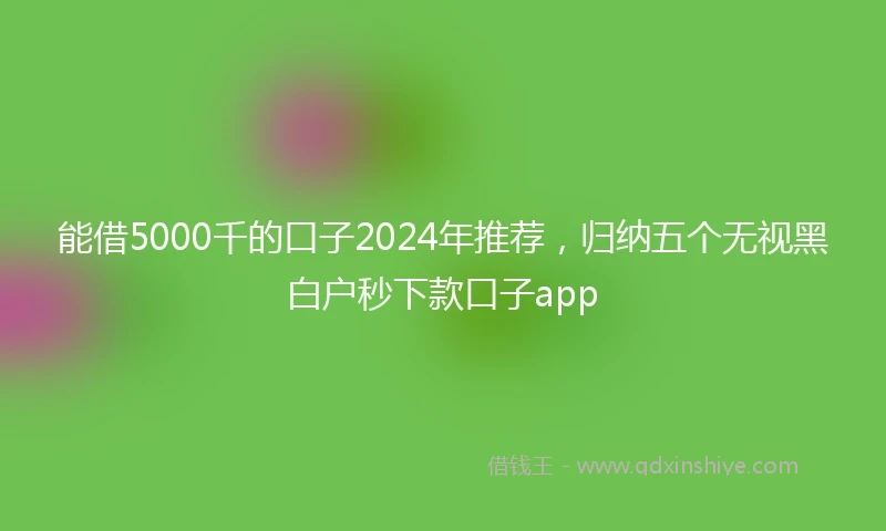 能借5000千的口子2024年推荐，归纳五个无视黑白户秒下款口子app