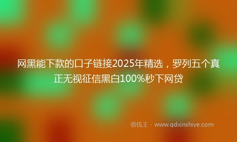 网黑能下款的口子链接2025年精选，罗列五个真正无视征信黑白100%秒下网贷