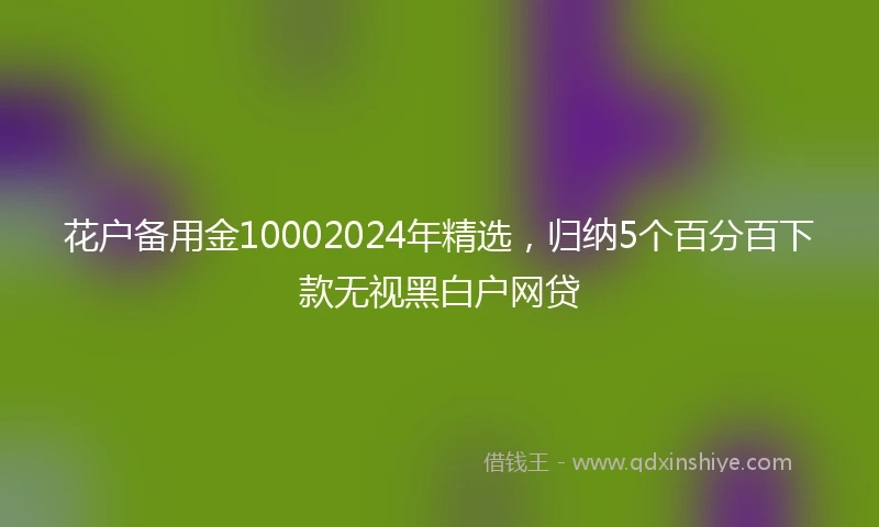 花户备用金10002024年精选，归纳5个百分百下款无视黑白户网贷