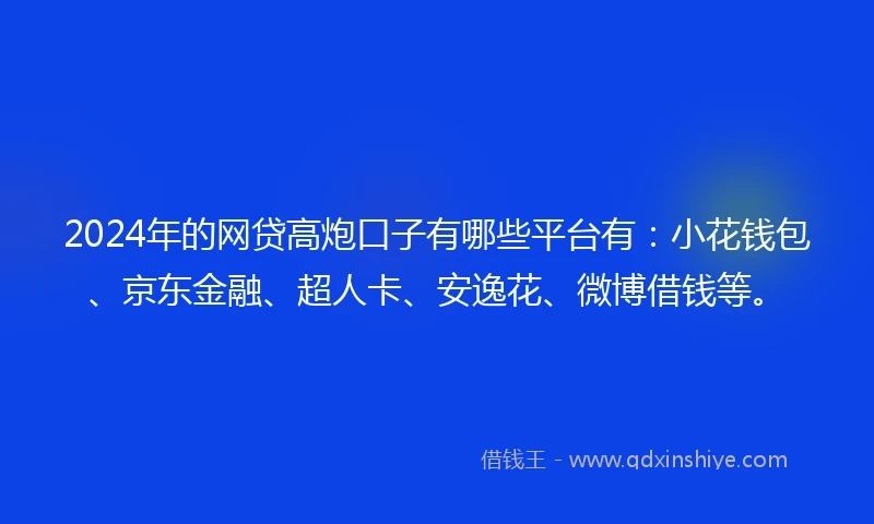 2024年的网贷高炮口子有哪些平台有：小花钱包、京东金融、超人卡、安逸花、微博借钱等。
