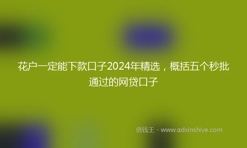 花户一定能下款口子2024年精选，概括五个秒批通过的网贷口子