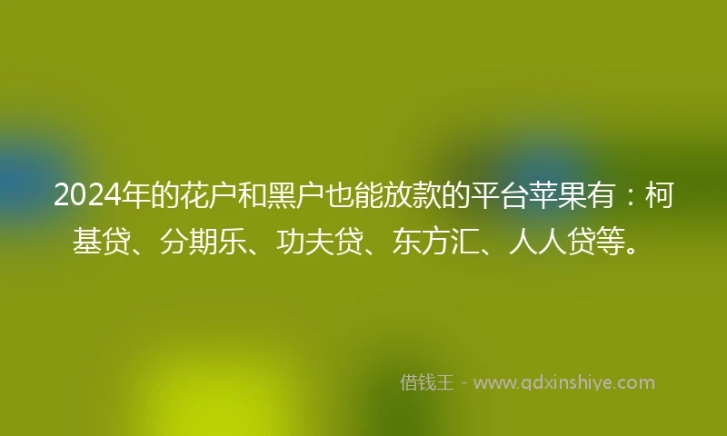 2024年的花户和黑户也能放款的平台苹果有：柯基贷、分期乐、功夫贷、东方汇、人人贷等。