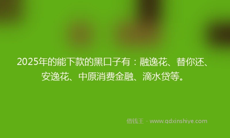 2025年的能下款的黑口子有：融逸花、替你还、安逸花、中原消费金融、滴水贷等。