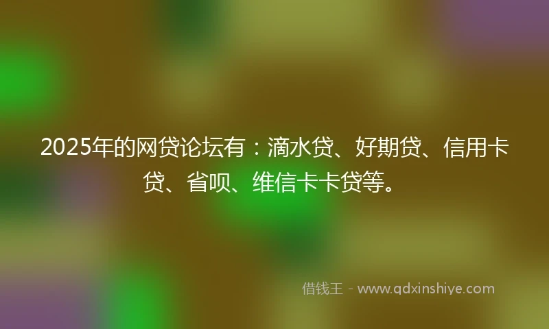 2025年的网贷论坛有：滴水贷、好期贷、信用卡贷、省呗、维信卡卡贷等。