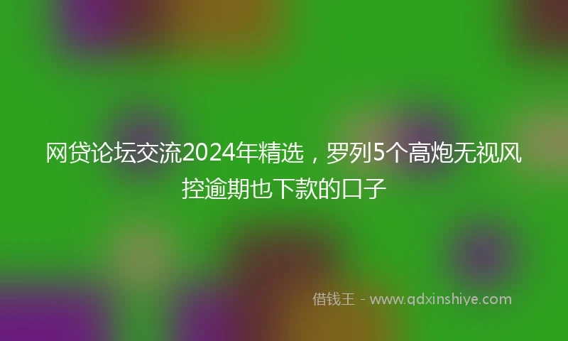 网贷论坛交流2024年精选，罗列5个高炮无视风控逾期也下款的口子