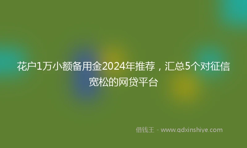 花户1万小额备用金2024年推荐，汇总5个对征信宽松的网贷平台