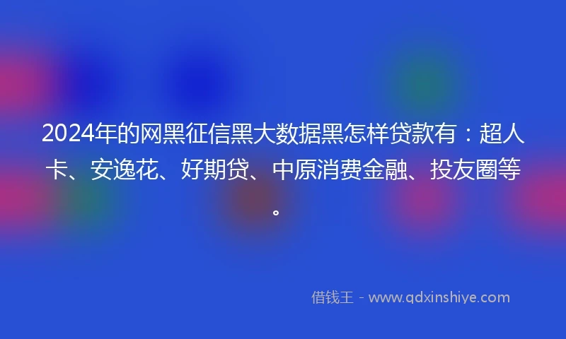 2024年的网黑征信黑大数据黑怎样贷款有：超人卡、安逸花、好期贷、中原消费金融、投友圈等。
