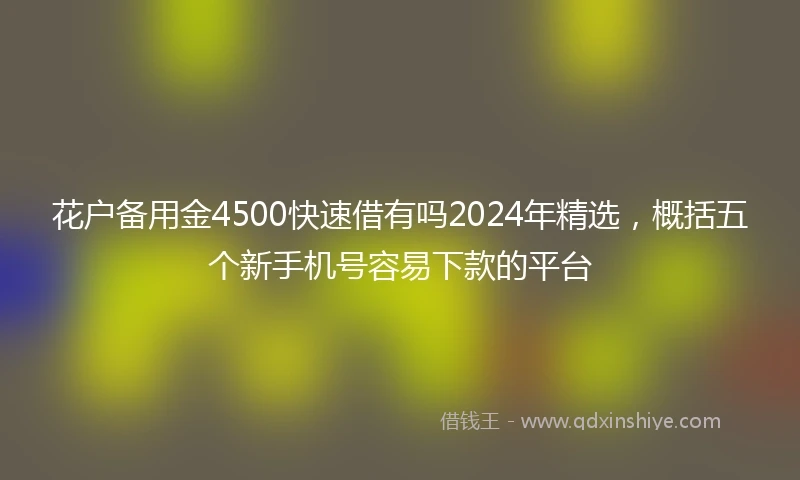 花户备用金4500快速借有吗2024年精选，概括五个新手机号容易下款的平台