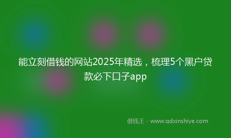 能立刻借钱的网站2025年精选，梳理5个黑户贷款必下口子app