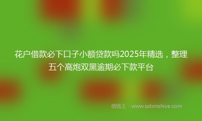 花户借款必下口子小额贷款吗2025年精选，整理五个高炮双黑逾期必下款平台