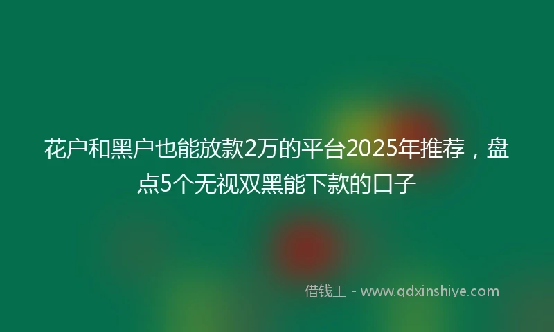 花户和黑户也能放款2万的平台2025年推荐，盘点5个无视双黑能下款的口子