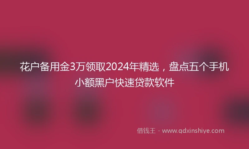花户备用金3万领取2024年精选，盘点五个手机小额黑户快速贷款软件