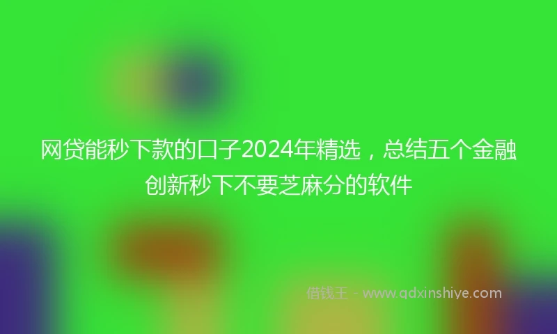 网贷能秒下款的口子2024年精选，总结五个金融创新秒下不要芝麻分的软件