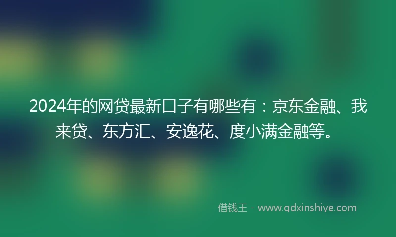 2024年的网贷最新口子有哪些有：京东金融、我来贷、东方汇、安逸花、度小满金融等。